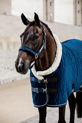 Kentucky Horsewear Velvet Halter